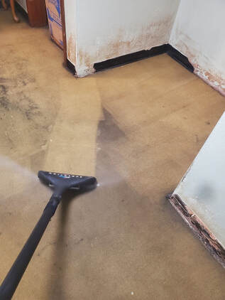 dirty carpet being steam cleaned